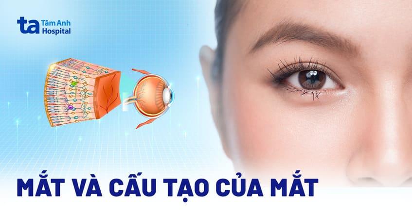 Bo nao xu ly tin hieu nham mat thay mau gi